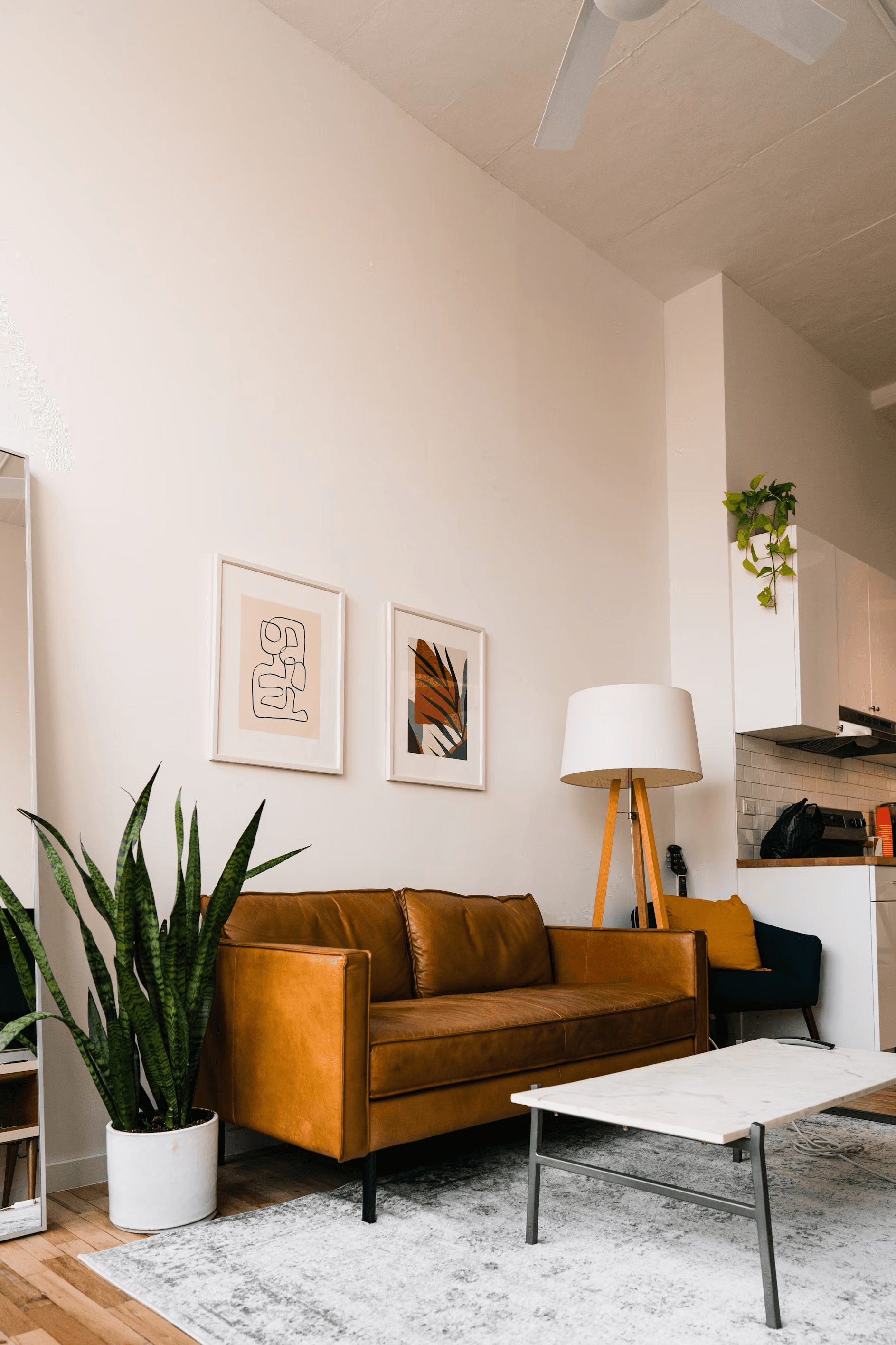 Earthvine interior