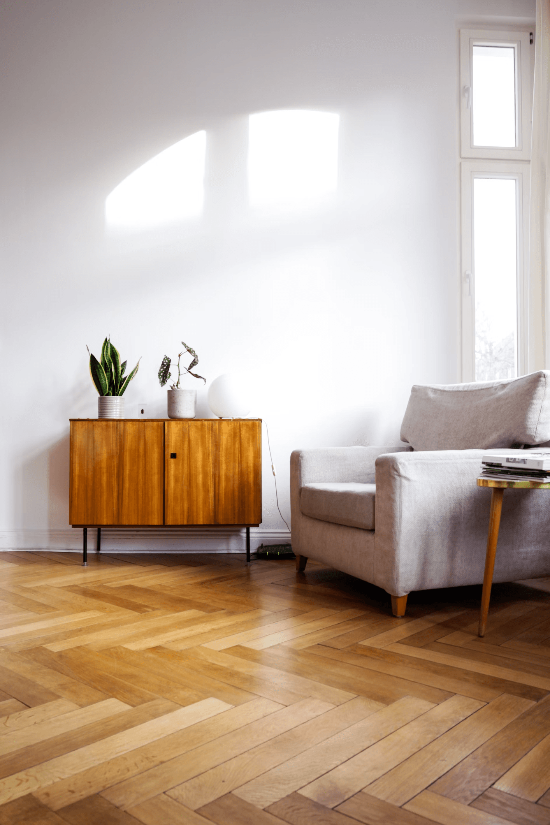 Earthvine interior